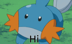 Hi Cute Mudkip GIF