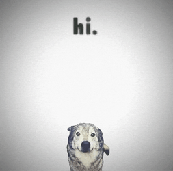 Hi Dog Meme GIF