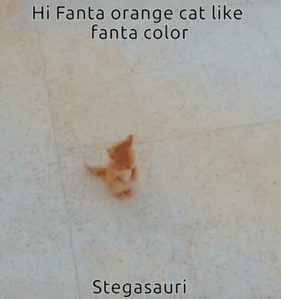 Hi Fanta Orange Cat Like Fanta Color Stegasaurus GIF