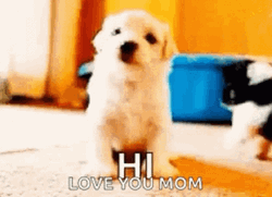 Hi Love You Mom GIF