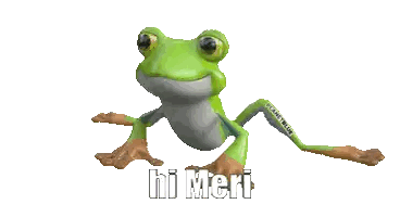 Hi Meri Frog Sticker