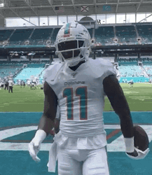 Hi Miami Dolphins Fans GIF