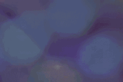 Hi Old Barbie Dolls Commercial GIF