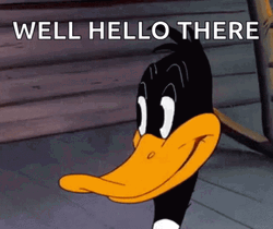 Hi There Duffy Duck Flirting GIF
