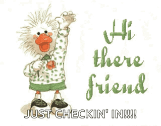 Hi There Friend Just Checking In GIF