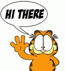 Hi There Garfield Waving GIF