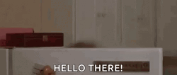 Hi There Mrs Doubtfire Robin Williams GIF
