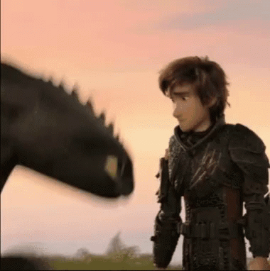 Hiccup And Toothless From How To Train Your Dragon 3 Are Standing Next To Each Other In A Field . GIF