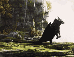 Hiccup Carrying Toothless GIF