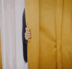 Hide And Seek Lisa Ray Korean GIF