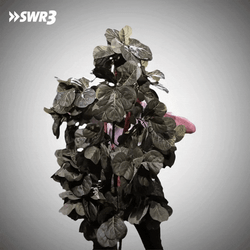 Hide And Seek Plant Camouflage GIF