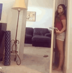 Hide And Seek Silly Dog Looking GIF