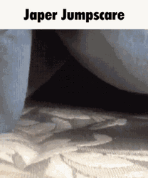 Hiding Cat Surprising Owner Jump Scare GIF