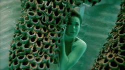 Hiding Mermaid Scared To Siren Head GIF