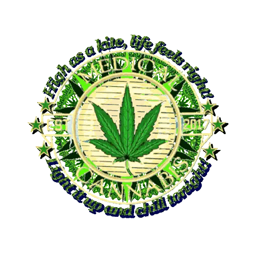 High Has A Kite Life Poster Sticker