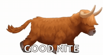 Highland Cow Running Saying Good Nite GIF