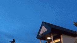 Hikomikos Teleport Edited GIF