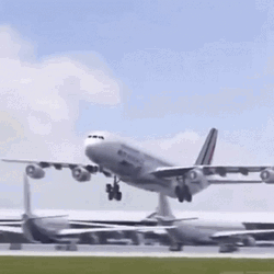 Hilarious Airplane Flying Flapping Wings GIF