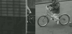 Hilarious Bike Riding Monkey Classic Footage GIF