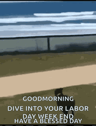Hilarious Dog Good Morning Happy Labor Day  GIF