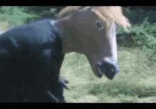 Hilarious Funny Horse Mask Stare Scary Surprise