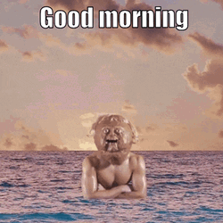 Hilarious Good Morning Bikini Man GIF