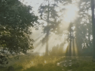 Hilarious Good Morning Dark Prince Goth Lady GIF
