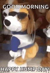 Hilarious Good Morning Dog Twerk GIF
