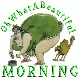 Hilarious Good Morning Frightened Cat GIF