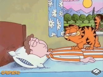 Hilarious Good Morning Garfield GIF