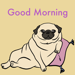 Hilarious Good Morning Pug Wink GIF