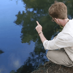 Hilarious Good Morning Touch Screen Meme GIF