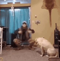 Hilarious Man Dancing Meme GIF