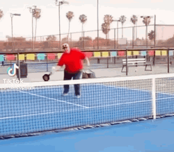 Hilarious Pickleball Game Player Net Dive GIF