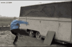 Hilarious Rooster Chasing Boy GIF