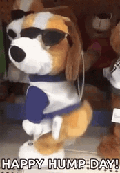 Hilarious Stuffed Dog On Hump Day Wednesday GIF