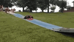 Hilarious Water Slide Crash And Burn GIF