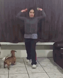 Hilarious Yoyo Throwing Mishap GIF