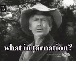 Hillbilly Jed Clampett Vintage Video Clip GIF
