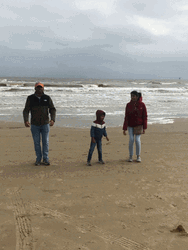 Hip Hip Hooray Of Family In The Beach GIF