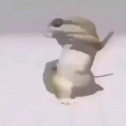 Hip Hop Dancing Lizard GIF