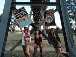 Hippie Protest  GIF