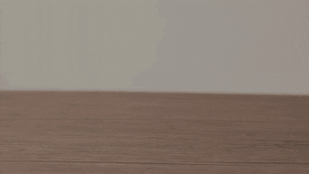 Hippo Poop Coffee Makes Me Poop GIF