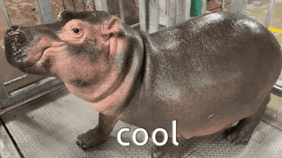 Hipopótamo parado sobre metal diciendo cool GIF