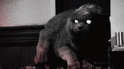 Hissing Cat Boss Mode GIF