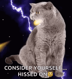 Hissing Cat Hissed On GIF