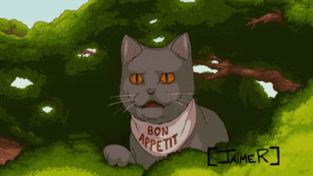 Hissing Cat Jump Scare GIF
