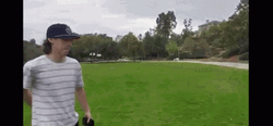 Hit Stick Hiding Bat GIF