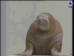 Hmm Very Interesting Tell Me More GIF