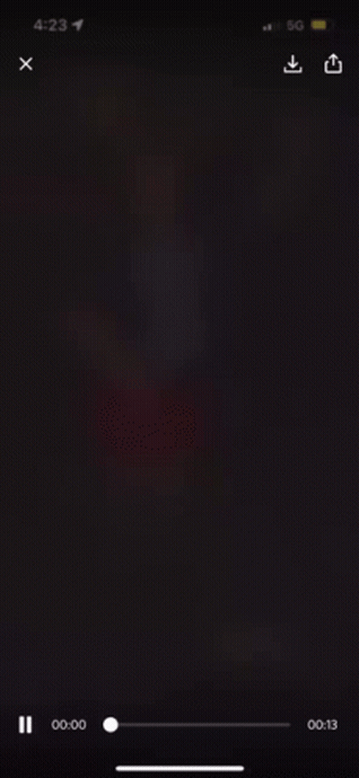 HNK Sibenik Logo With Snake GIF